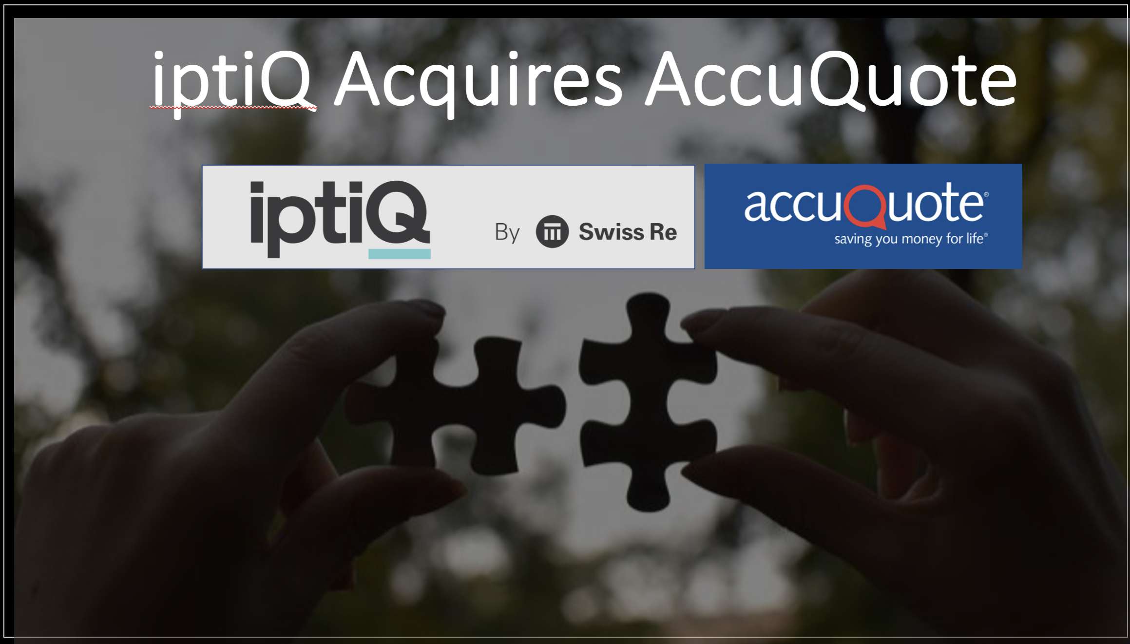 iptiQ Acquires AccuQuote