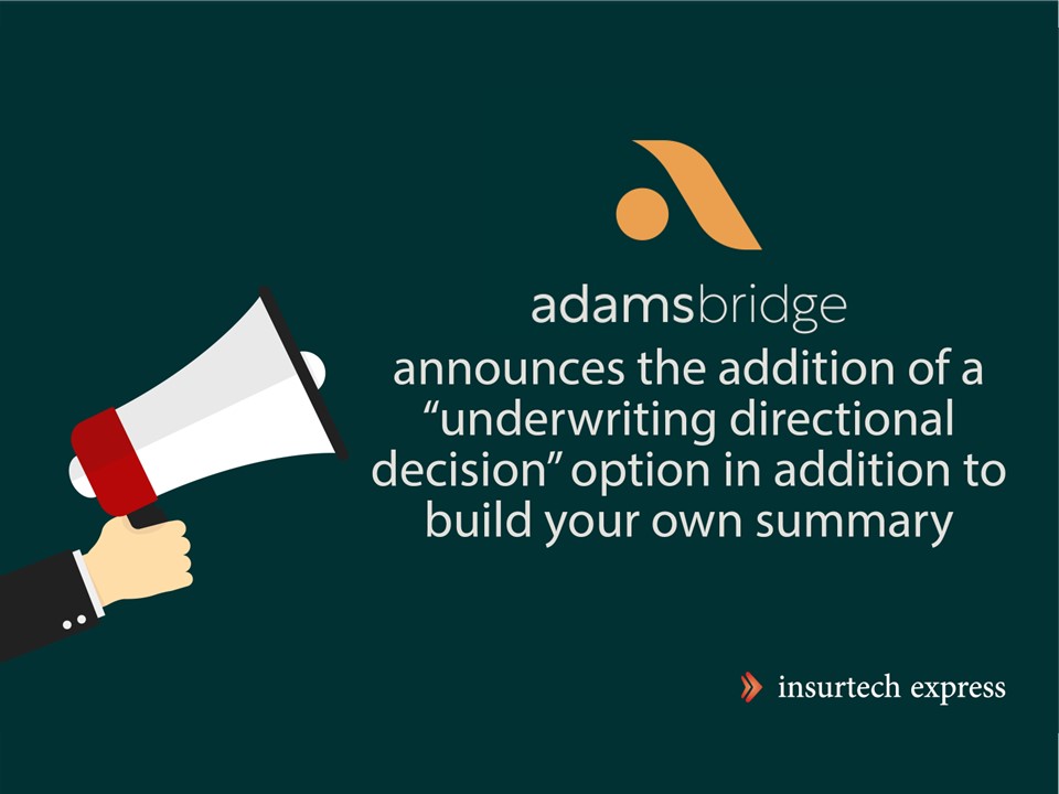 AdamsBridge announces the addition of a “underwriting directional decision” option in addition to build your own summary.