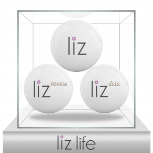 liz life Glassbox